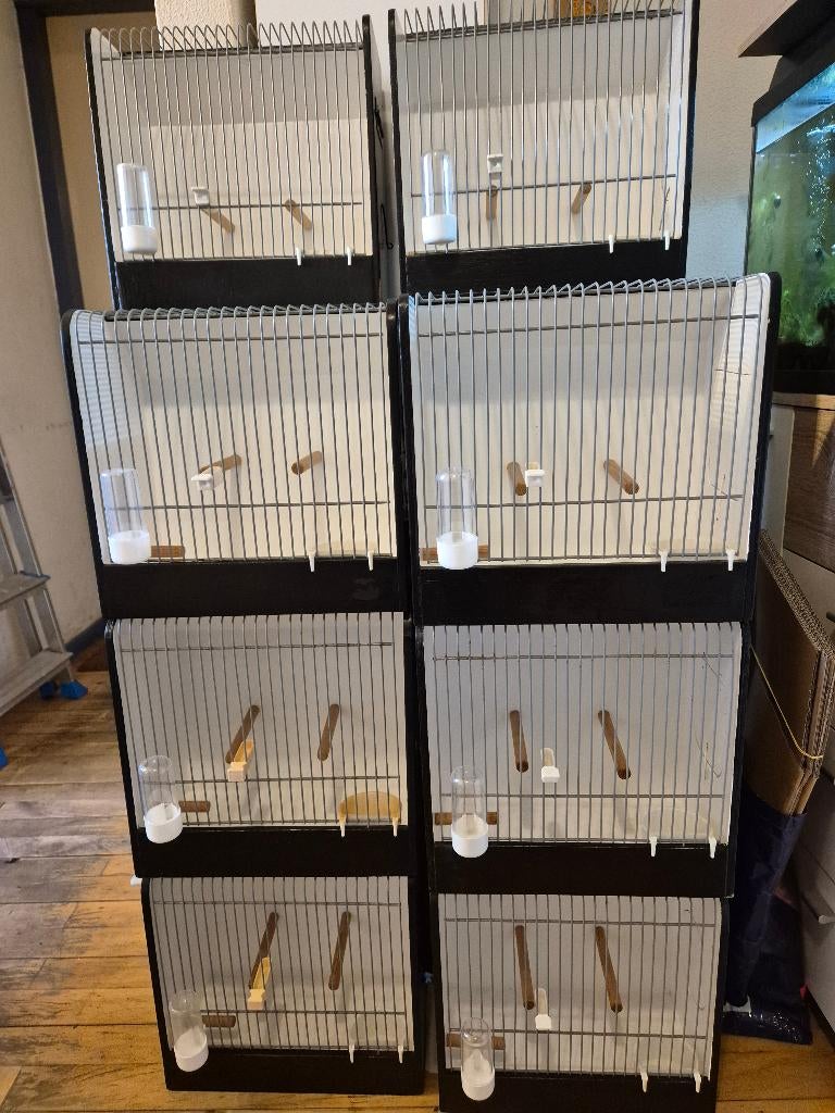 TT kooien €7,- p/st, Enlèvement, Comme neuf, Bois, Cage à oiseaux