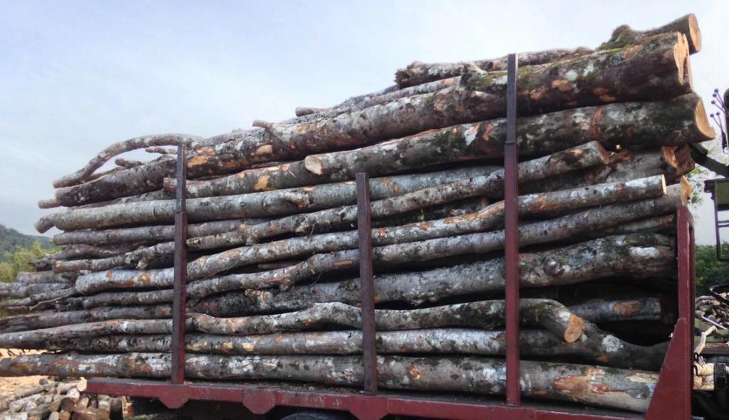 Brand hout gezocht, Ophalen, Gebruikt, Overige typen, Hardhout