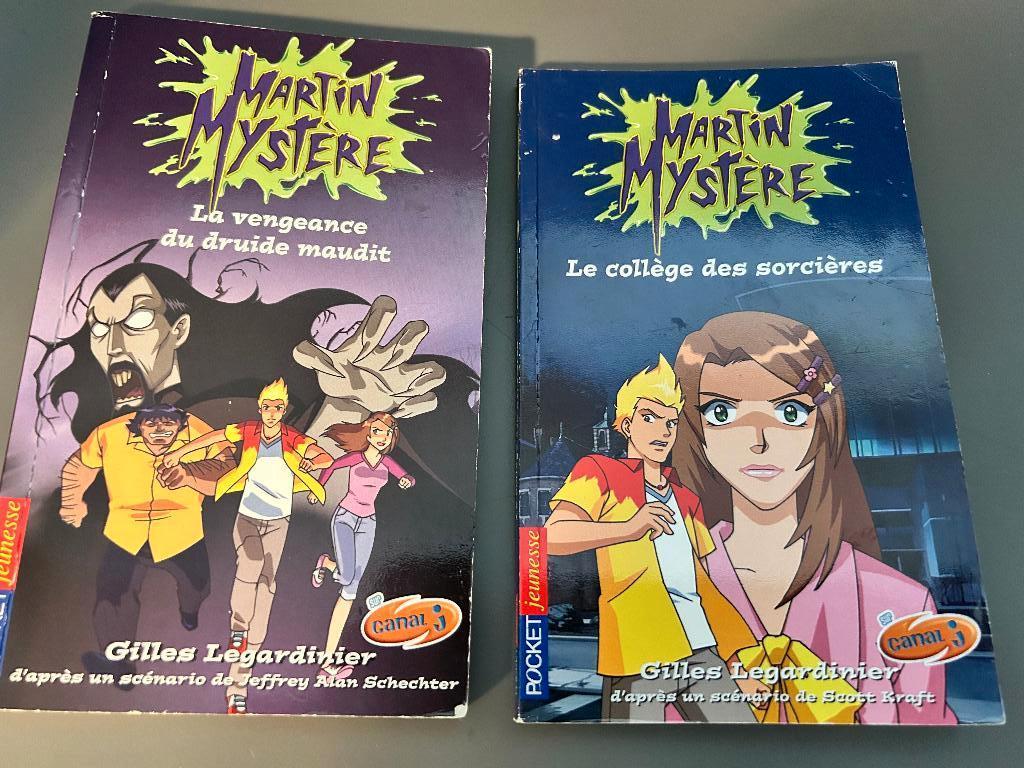Romans pour enfant de 8 ans - Martin Mystère, Enlèvement, Utilisé, Gilles Legardinier, Fiction général