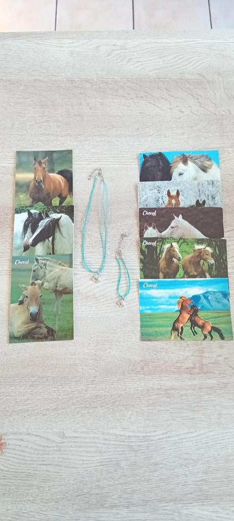 Set van halsketting en armband met paardenhanger, Ophalen of Verzenden, Nieuw, Blauw, Armband