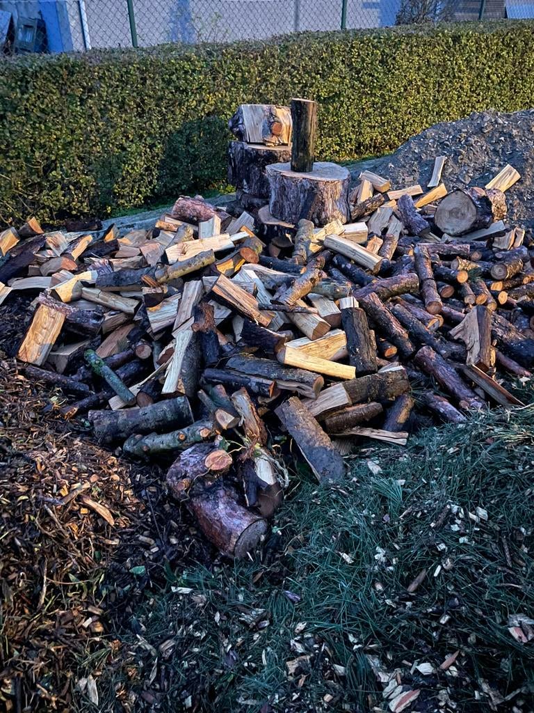 Brandhout spar, Ophalen