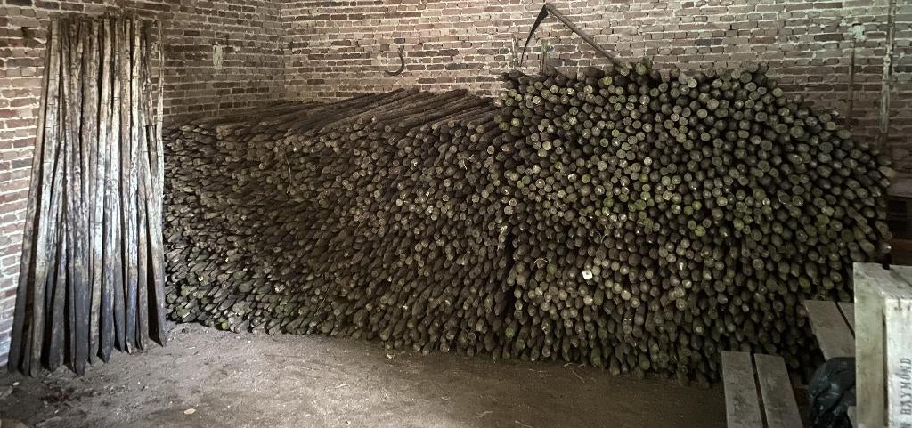 Houten palen 2,5m, Enlèvement, Utilisé, 250 cm ou plus, Poteaux