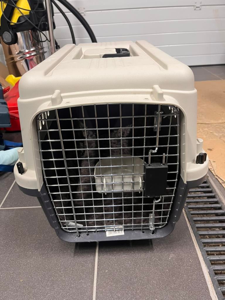 Transportbox voor kat of hond, Dieren en Toebehoren, Ophalen, Zo goed als nieuw