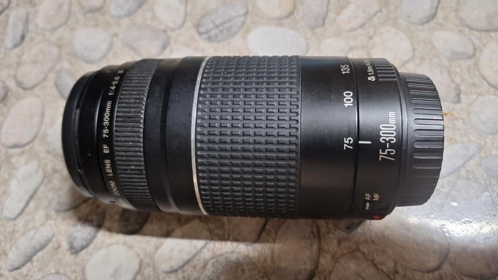 Canon EF 75-300 mm, Ophalen of Verzenden