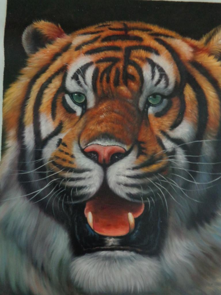 *Prachtige grote schilderij met een tijgerkop -Olie op doek, Antiek en Kunst, Kunst | Schilderijen | Klassiek, Ophalen of Verzenden