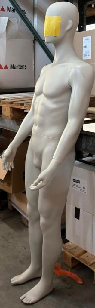 Mannequin vitrine homme pour commerce, Articles professionnels, Enlèvement