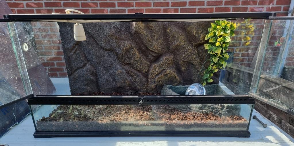 Terradium de l'Expo, Animaux & Accessoires, Enlèvement, Éclairage