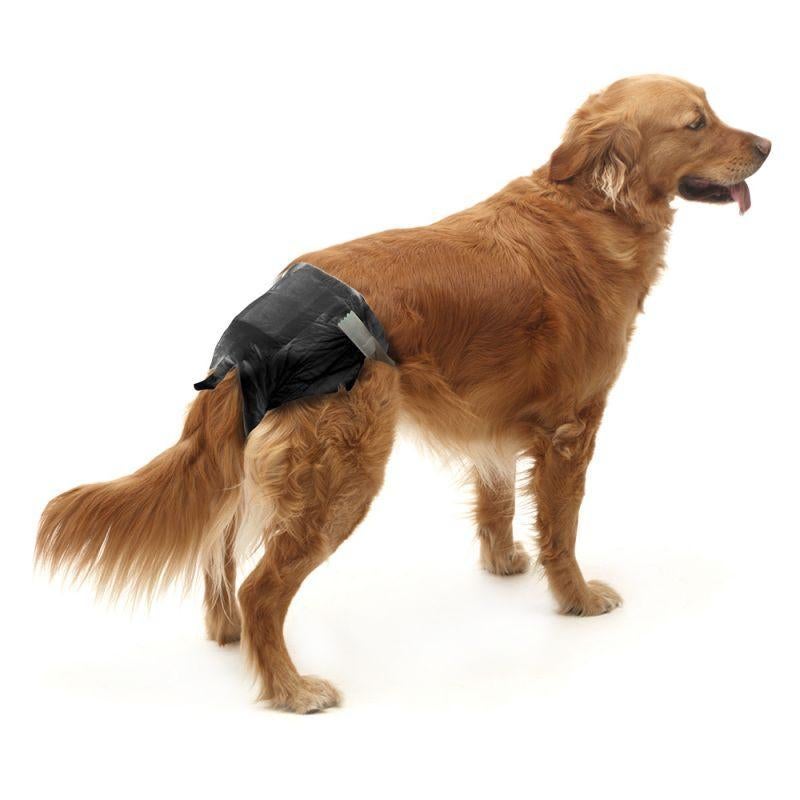 Savic Comfort Nappy maat 6 Zwart,wegwerpluiers / honden, Ophalen of Verzenden, Nieuw