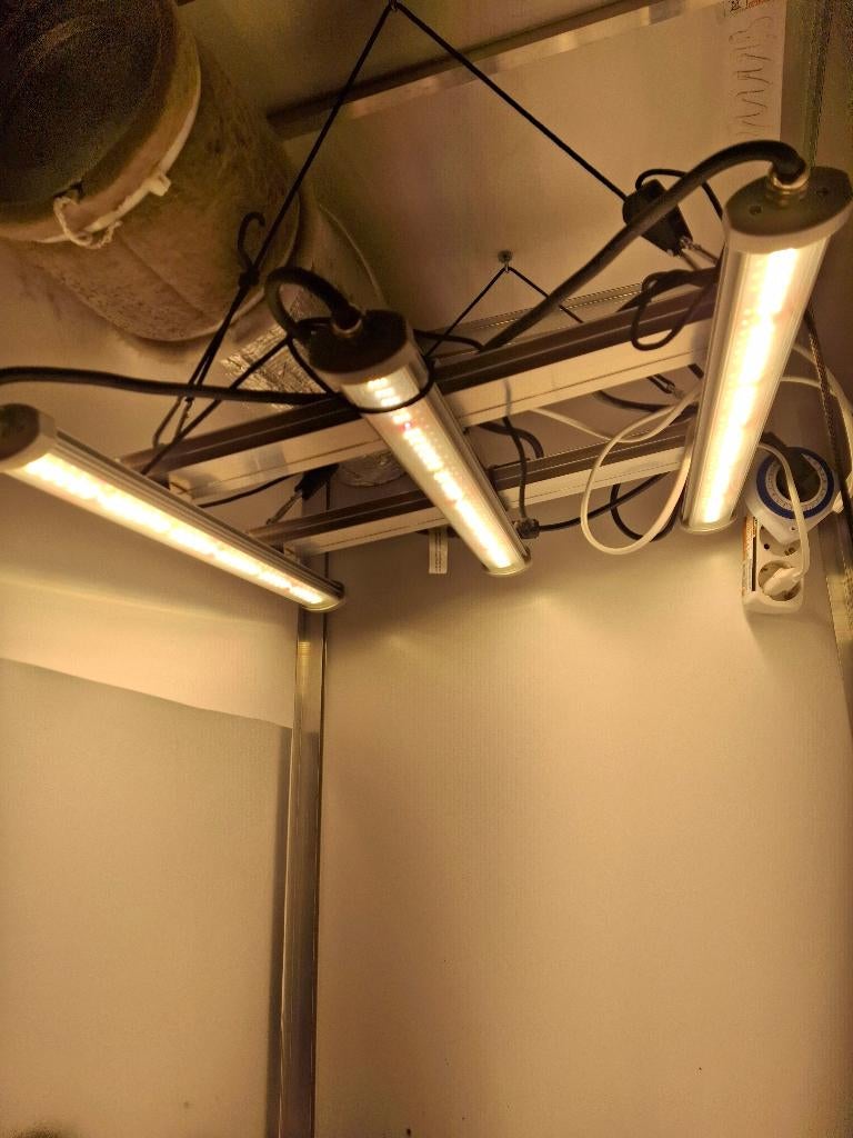 Kweekkast, Tuin en Terras, Kweekspullen, Ophalen, Gebruikt, Kweekkast