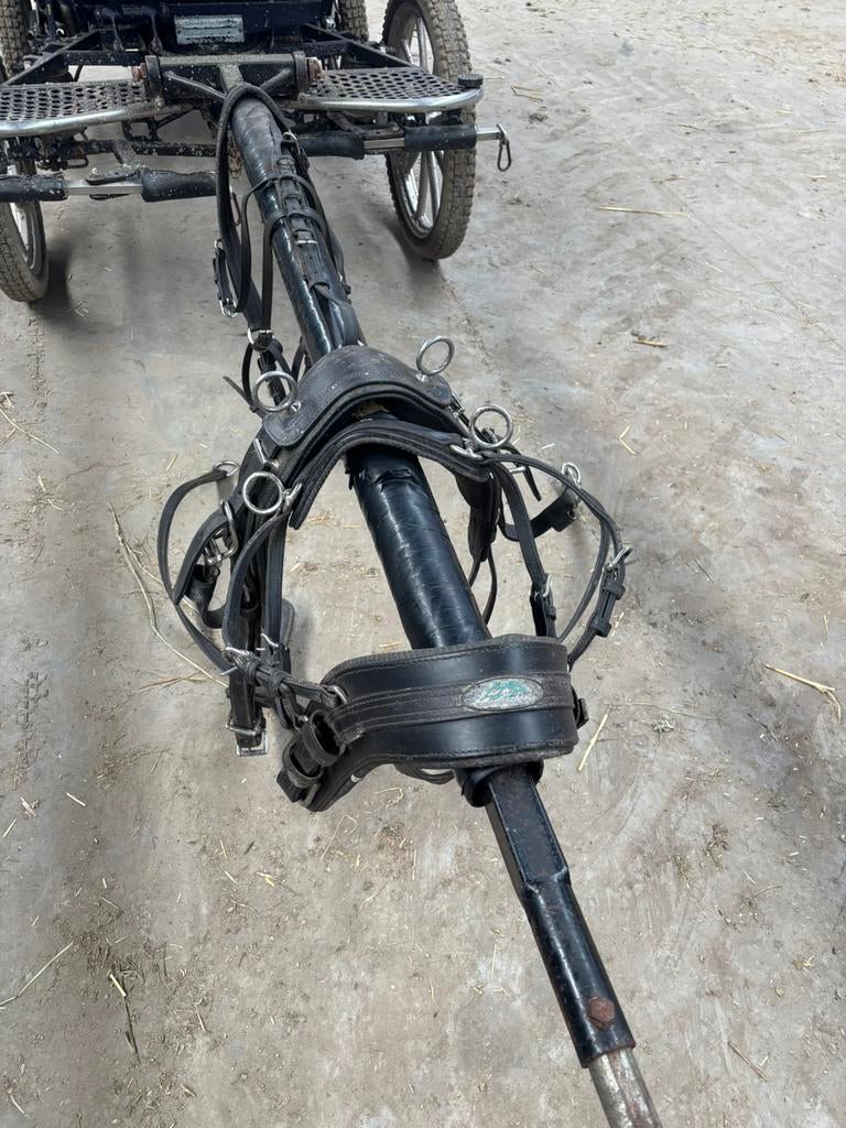 Feuille d'anneau unique, Enlèvement, Comme neuf