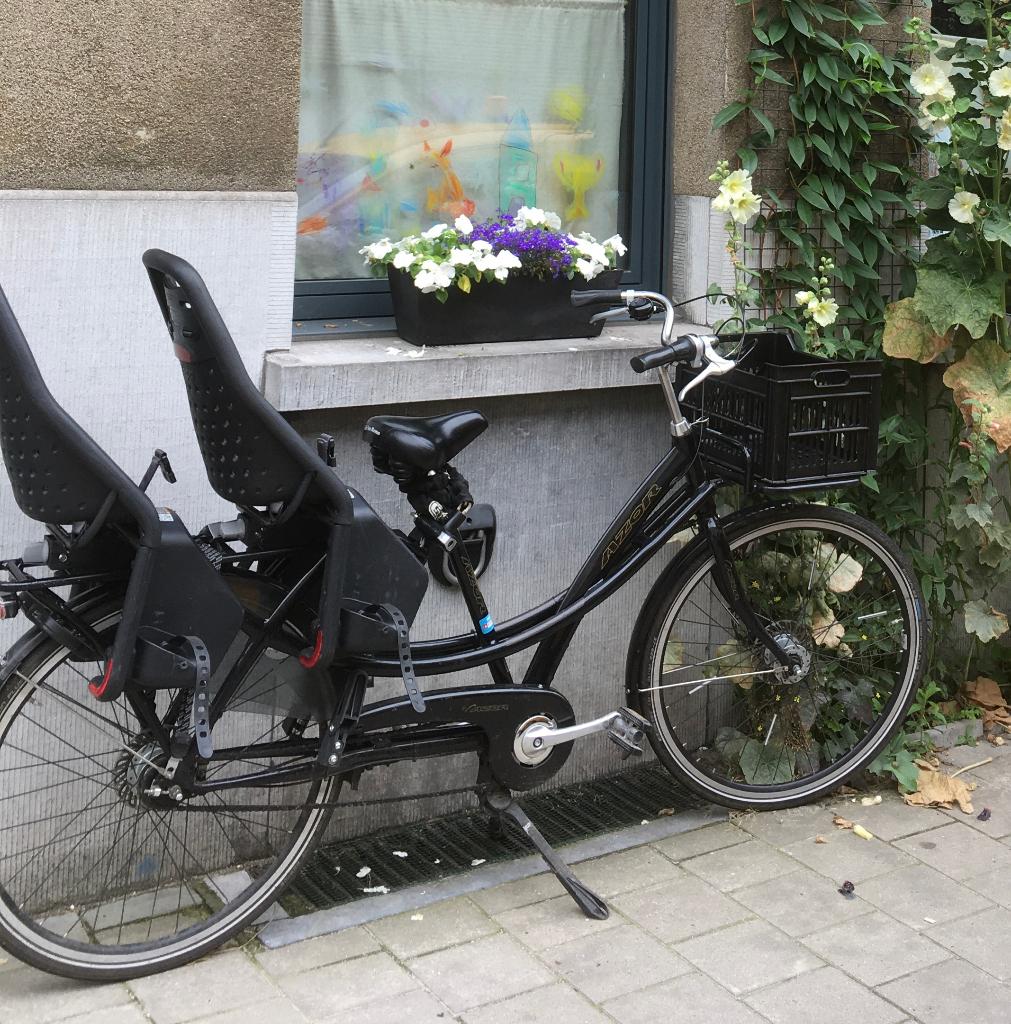 Longtail fiets Azor (tweelingfiets), Ophalen, Gebruikt, Azor