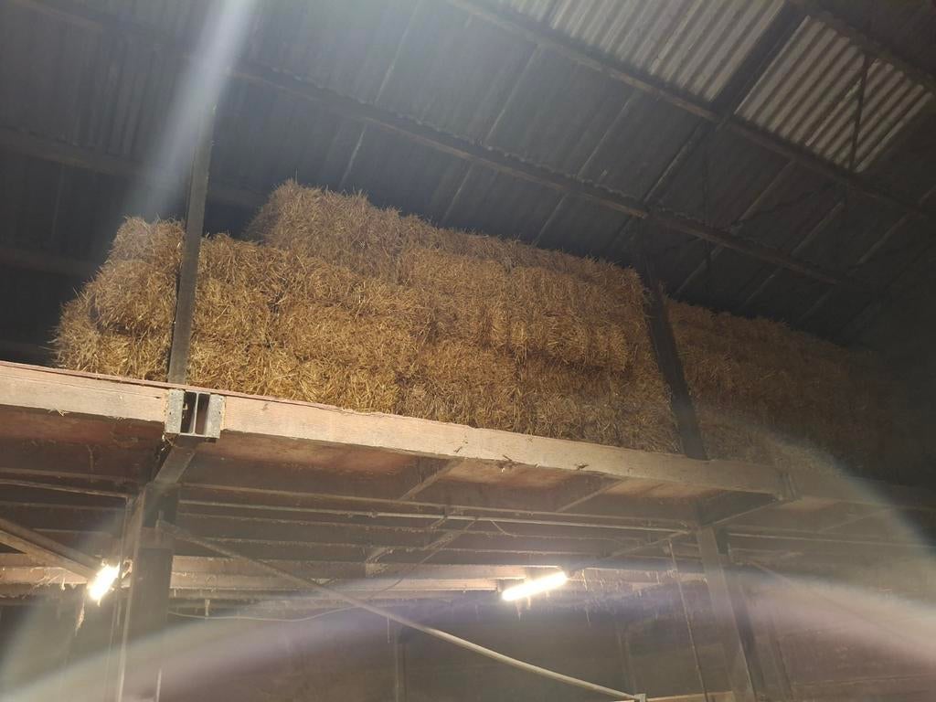 Stro, Dieren en Toebehoren, Dierenvoeding, Ophalen