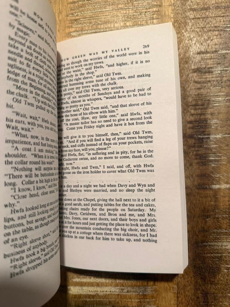 How green was my Valley - Richard Llewellyn, Boeken, Ophalen of Verzenden, Gelezen, Richard Llewellyn, Amerika