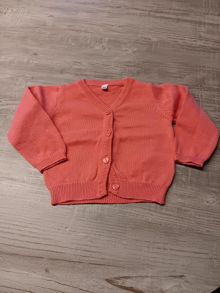 Gilet meisje, maat 62, Zeeman., Kinderen en Baby's, Babykleding | Maat 62, Ophalen, Zeeman, Zo goed als nieuw, Truitje of Vestje