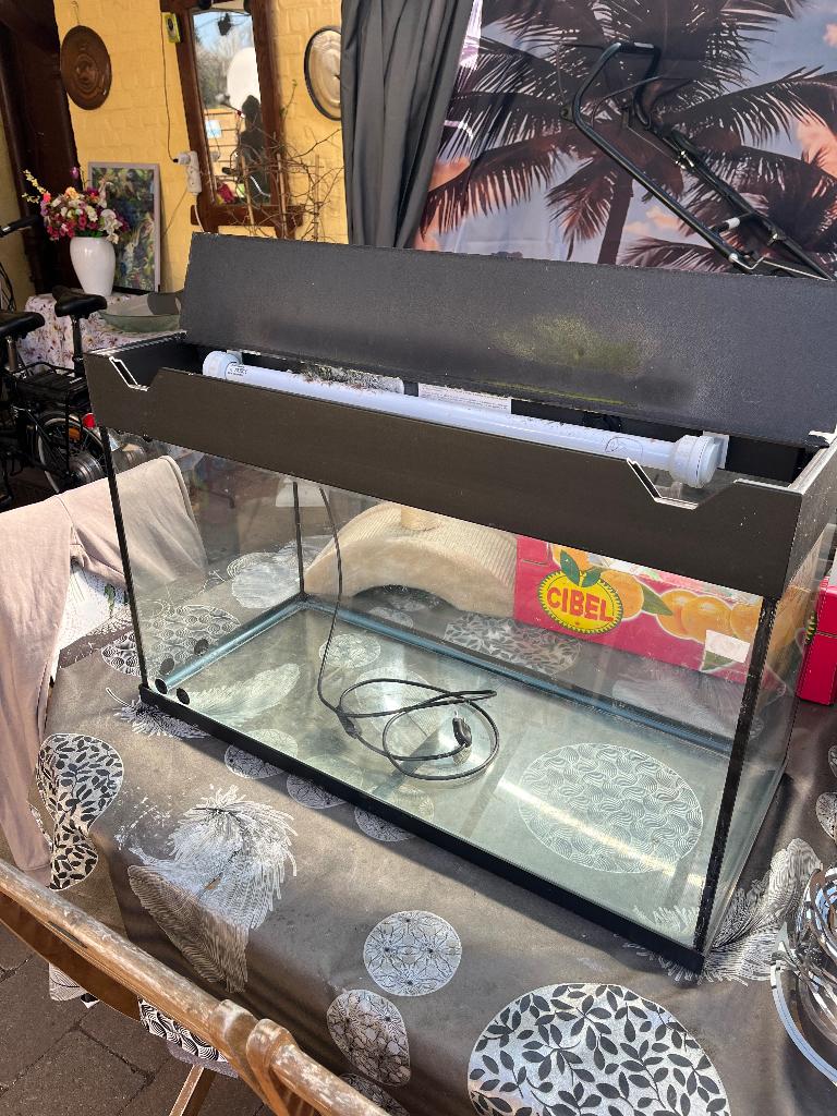 Aquarium juwel, Aquarium vide, Enlèvement, Utilisé, Couvercle inclus