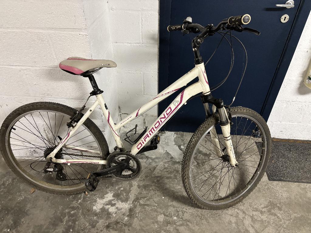 Mountainbike voor kinderen (10 jaar), Fietsen en Brommers, Gebruikt, Hardtail, 45 tot 49 cm, Dames