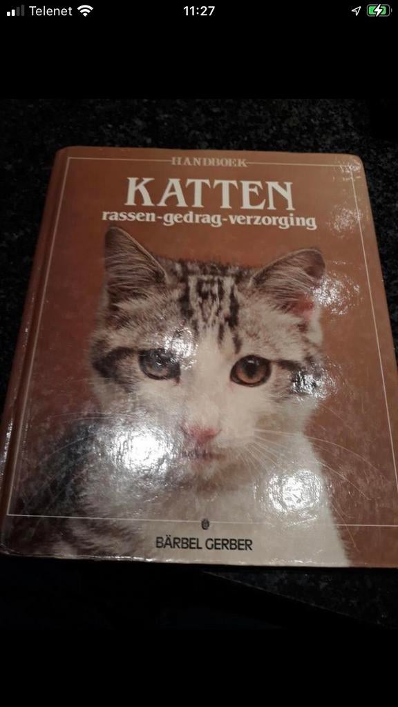 Katten ras gedrag en verzorging, Livres, Animaux & Animaux domestiques, Enlèvement ou Envoi, Comme neuf, Chats