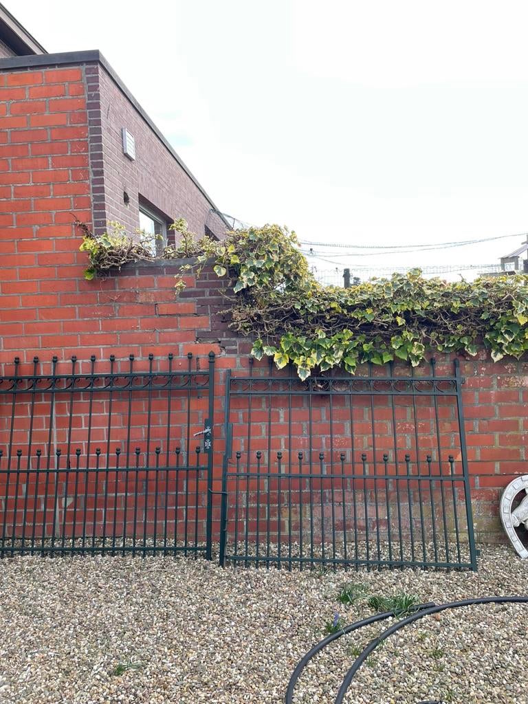 Portail en métal, Enlèvement, Utilisé, Fer, Clôture ornementale