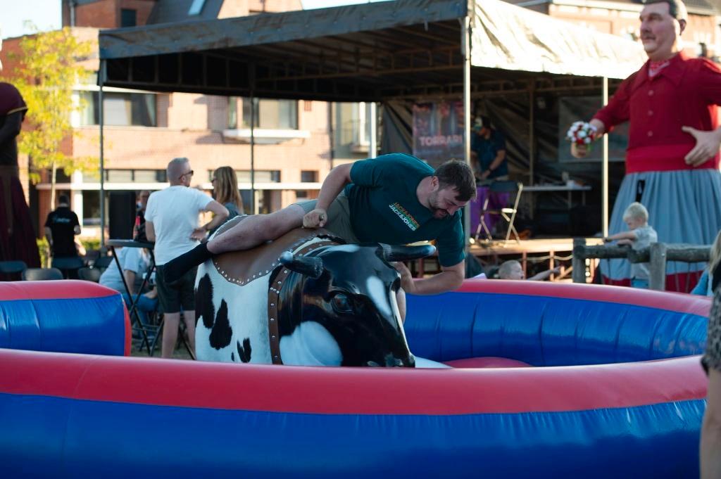 rodeostier  rodeo BULL zie foto's verschillende looks, Verzenden, Zo goed als nieuw
