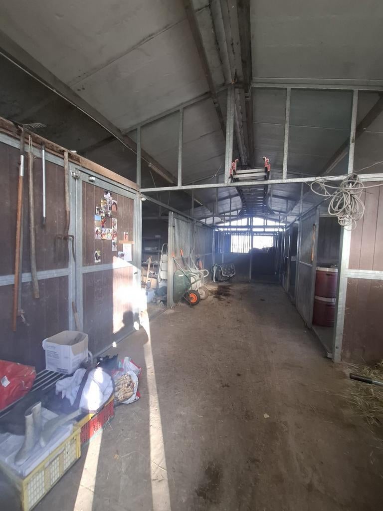 Stallen + inloop stal met paddock te huur., Dieren en Toebehoren, Weidegang, 4 paarden of pony's of meer