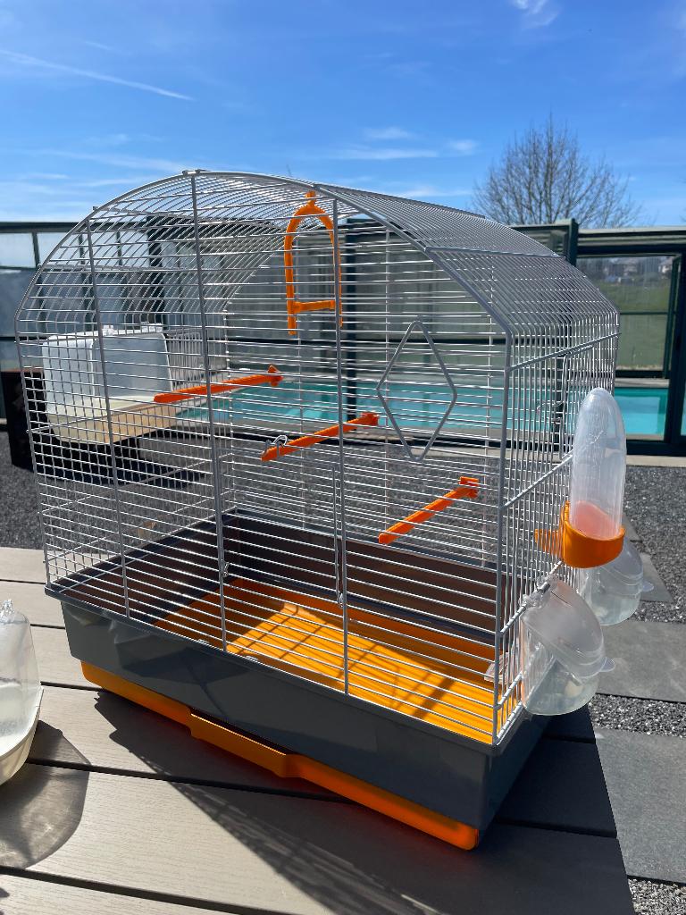 Cage à canari, Animaux & Accessoires, Enlèvement, Comme neuf, Cage à oiseaux