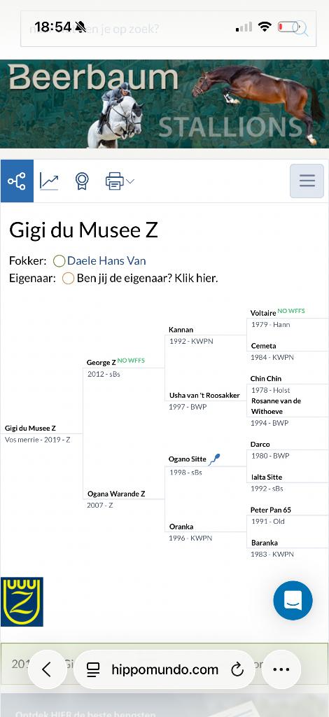 Springpaard, Dieren en Toebehoren, Paarden, Merrie, Springpaard, 7 tot 10 jaar, 165 tot 170 cm