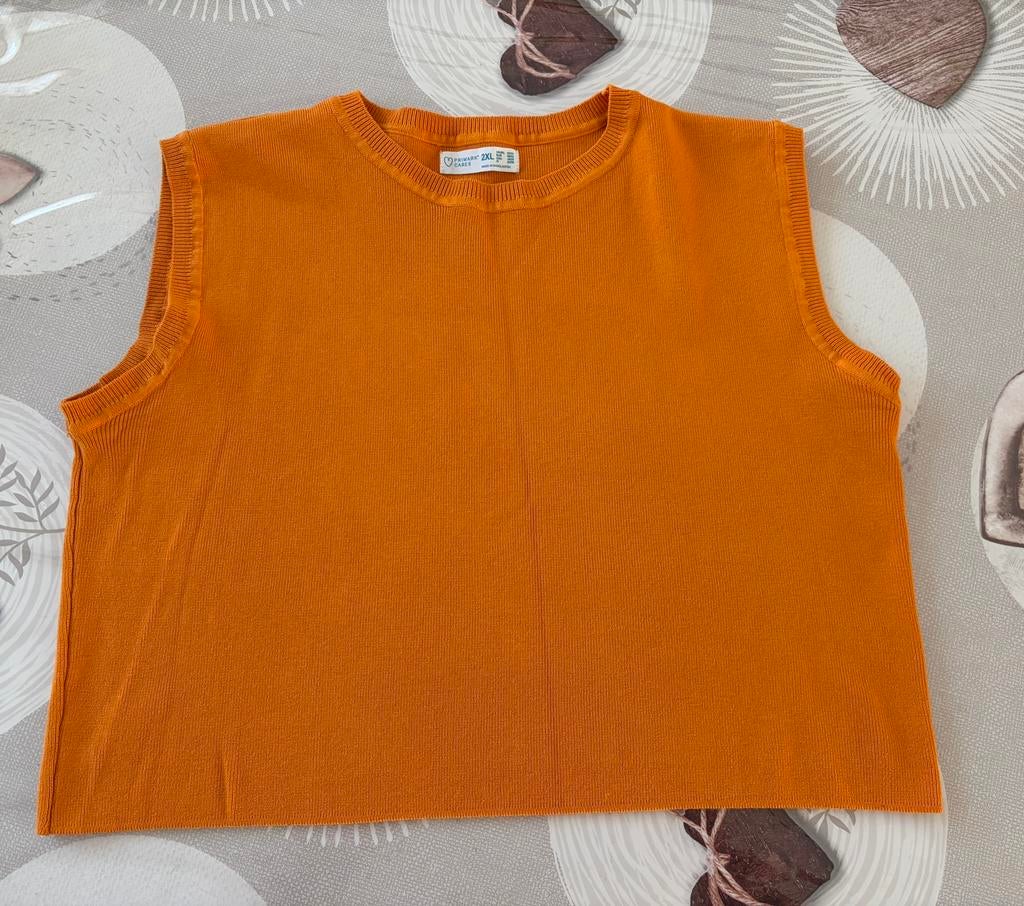 Orange  tanktop met mandarijn - Primark Cares, maat:, Kleding | Dames, Ophalen of Verzenden, Zo goed als nieuw, Oranje