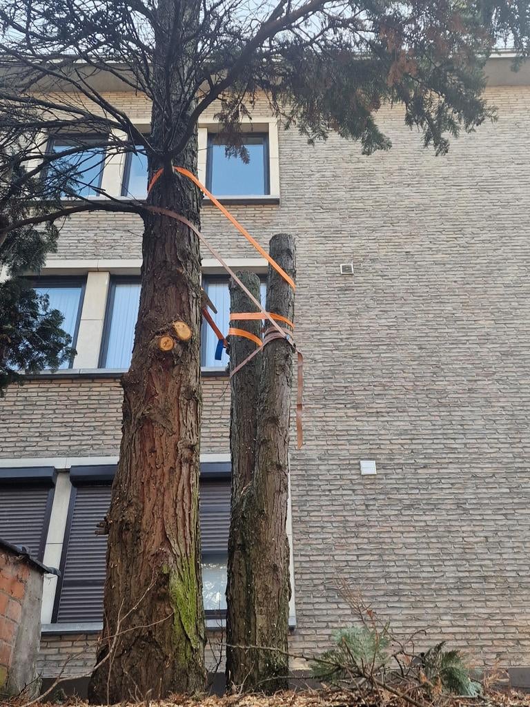 Brandt hout gratis, Ophalen of Verzenden