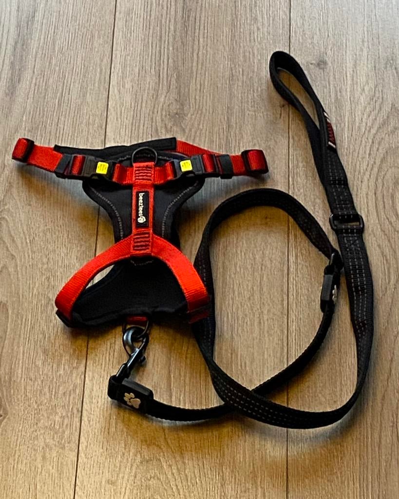 BEEZTEES hondentuig, met riem Nieuw, prijs: 15€, Dieren en Toebehoren, Hondenriemen, Ophalen of Verzenden, Nieuw, Hondenriem-accessoire