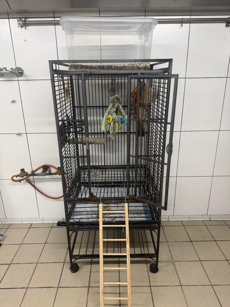 Papegaaienkooi, Dieren en Toebehoren, Ophalen, Zo goed als nieuw
