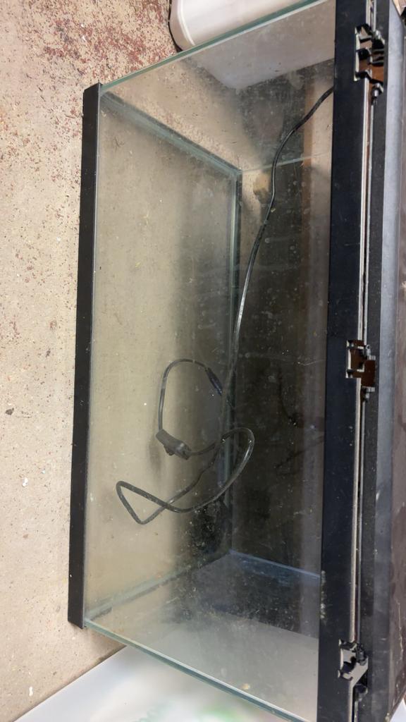 Aquarium, Dieren en Toebehoren