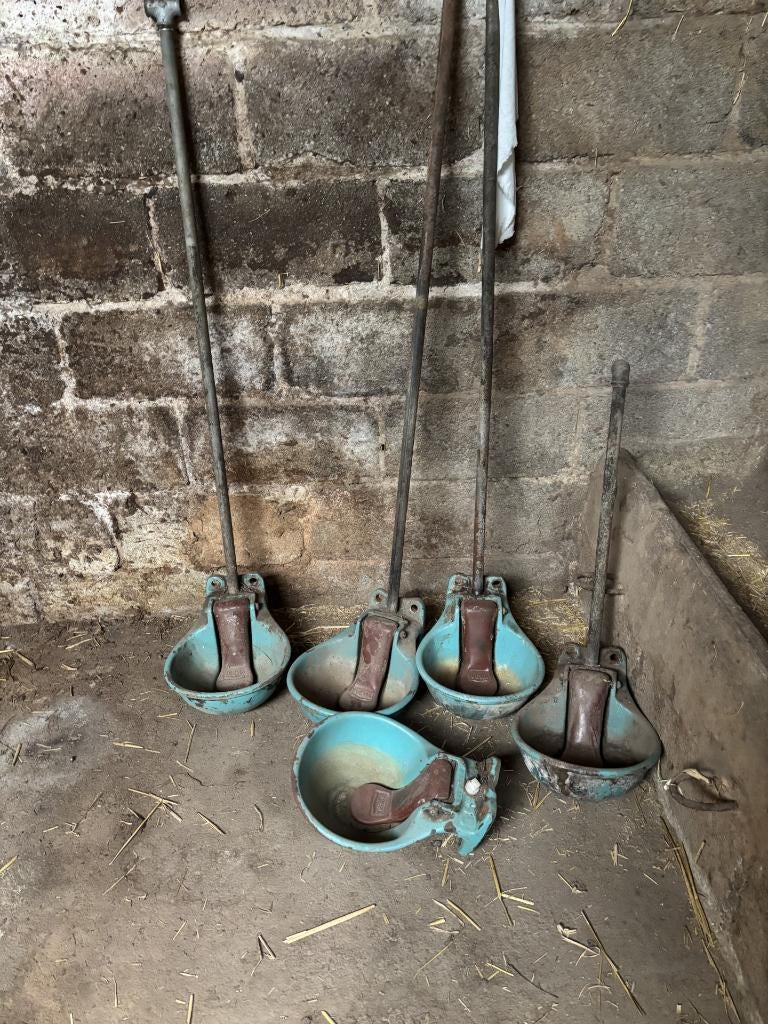 Drinkbakken, Dieren en Toebehoren, Runderen