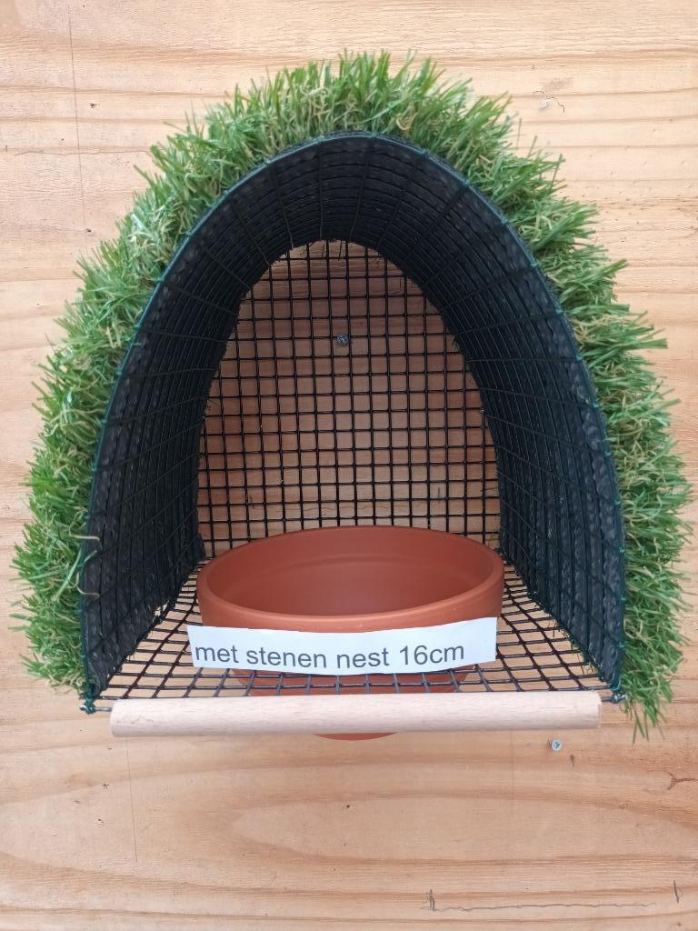 Goudvink nestkasten.