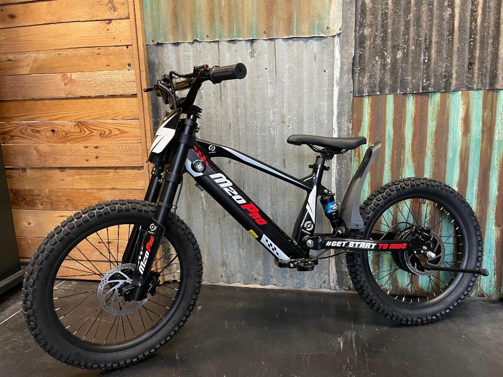 Draisienne électrique Polovolt M20 Pro, Vélos & Vélomoteurs, Vélos | Vélos pliables, Neuf, 18 à 20 pouces, Enlèvement ou Envoi