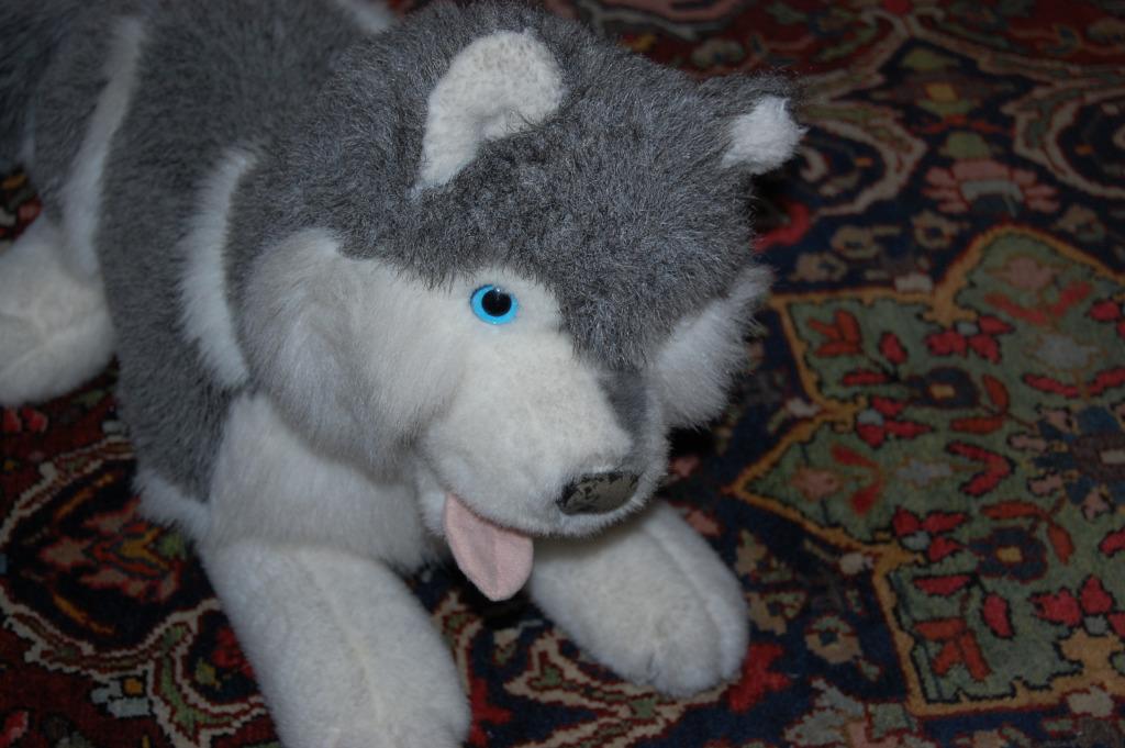 SIBERISCHE HUSKY HONDENKNUFFEL, Kinderen en Baby's, Speelgoed | Knuffels en Pluche, Ophalen of Verzenden, Zo goed als nieuw, Hond
