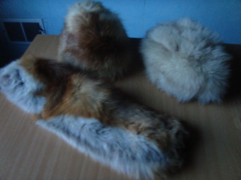 CHAPEAU EN FOURRURE PEAU DE RENARD PETITE TAILLE, Enlèvement