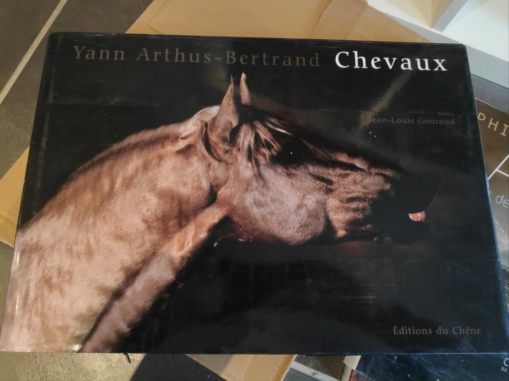 Yann  Arthus-Bertrand, Jean-Louis  Gouraud - 9782842775629, Livres, Comme neuf, Yann  Arthus-Bertrand, Jean-Louis  Gouraud