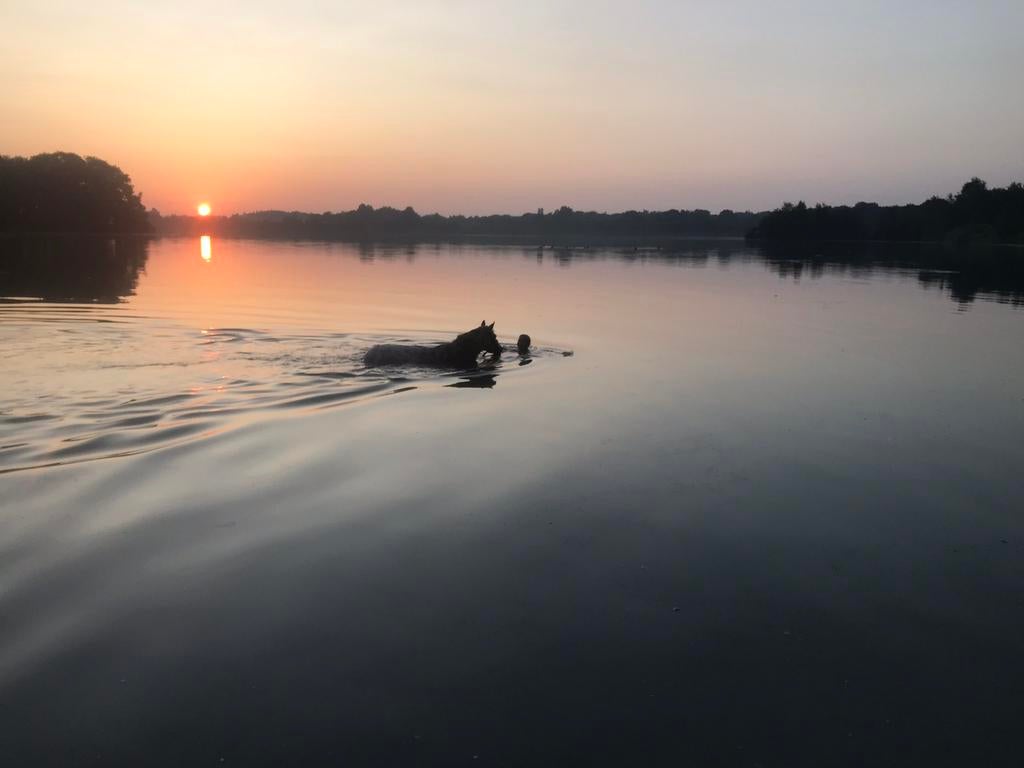 Stalmedewerker, Vacatures, Vacatures | Landbouw, Natuur en Milieu