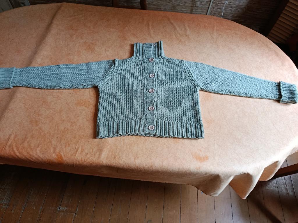 CARDIGAN POUR FEMME 50 % LAINE D'AGNEAU - River Woods, XL, ANDERE, Enlèvement ou Envoi, Comme neuf, Vert