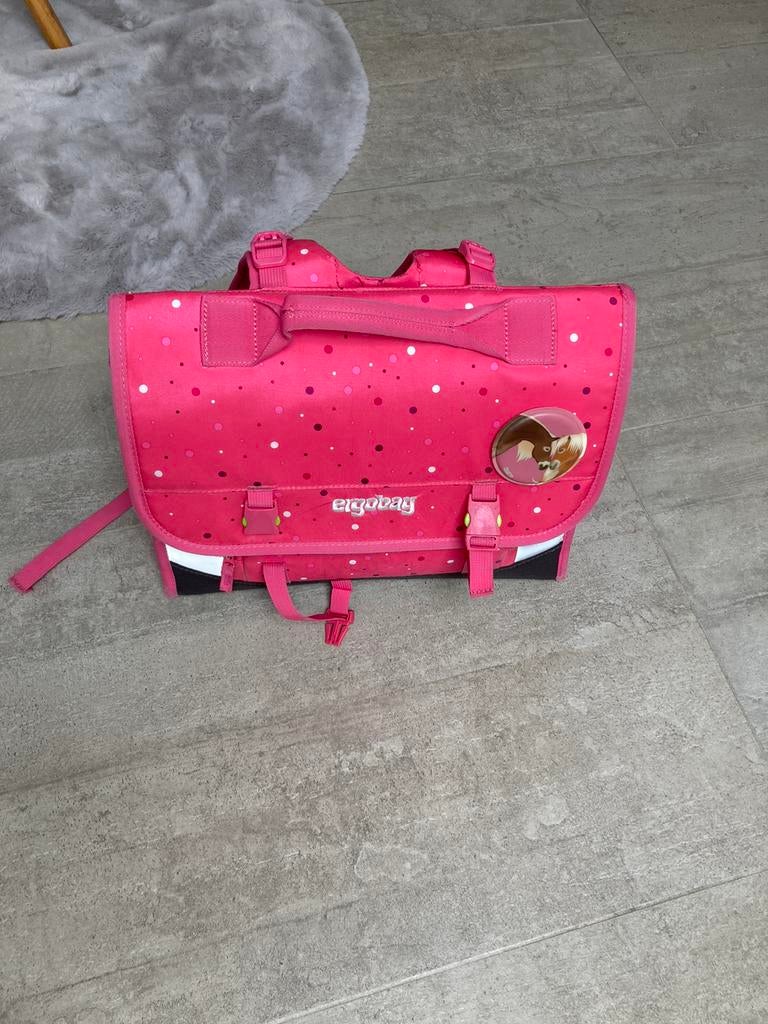 Boekentas Ergobag, Handtassen en Accessoires, Tassen | Schooltassen, Ophalen of Verzenden, Gebruikt