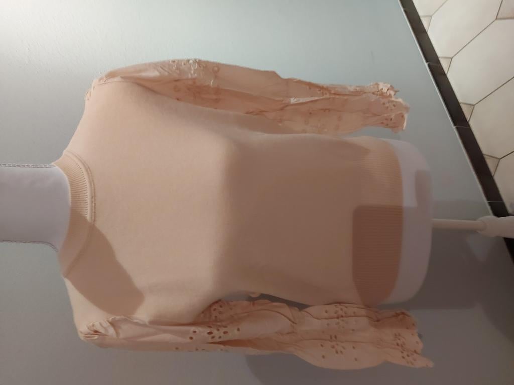Prachtige nieuwe beige trui met speciale mouwen maat s, Kleding | Dames, Ophalen of Verzenden, Nieuw, Maat 36 (S), Beige
