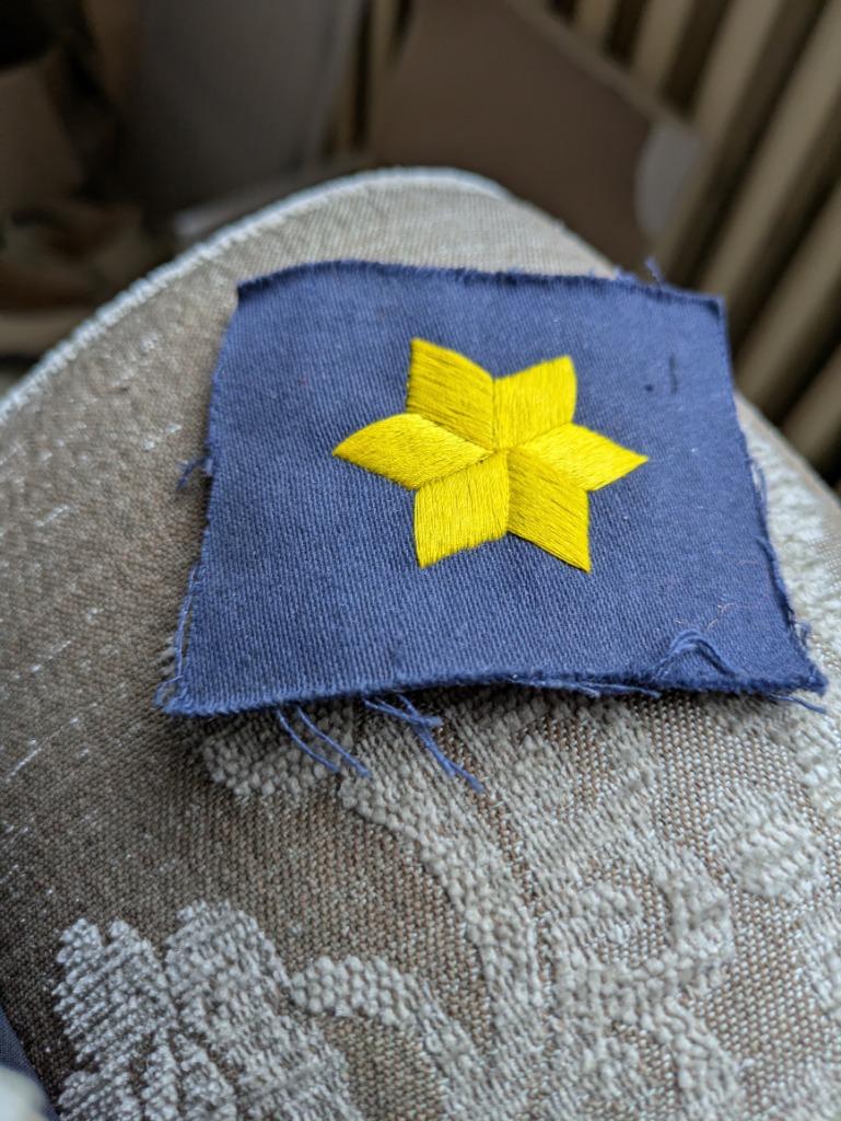 Kenteken leger, Verzamelen, Ophalen of Verzenden, Landmacht, Embleem of Badge