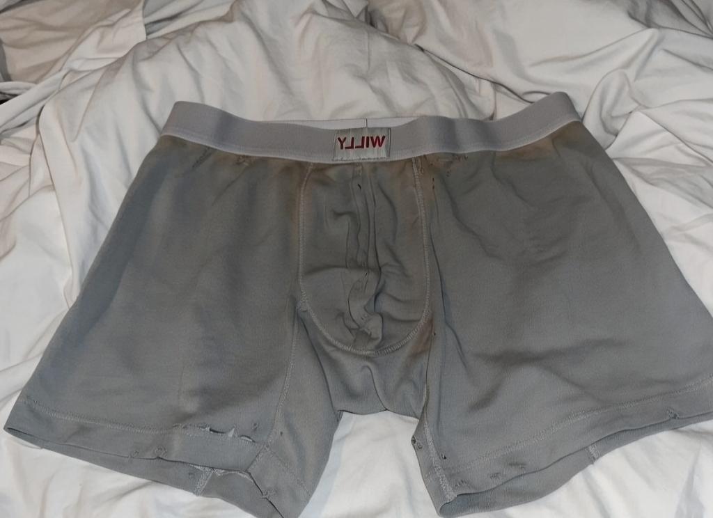 SLIPS VAN WILLY, Kleding | Heren, Ondergoed, Slip, Grijs, Verzenden