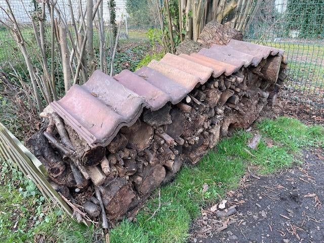 Gratis brandhout, Enlèvement