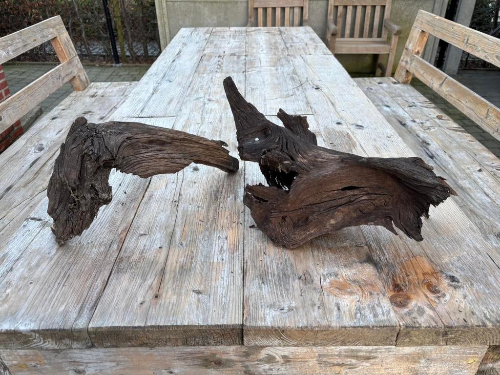 Hout aquarium, Dieren en Toebehoren, Ophalen, Nieuw, Plant(en), Steen of Hout, Overige merken