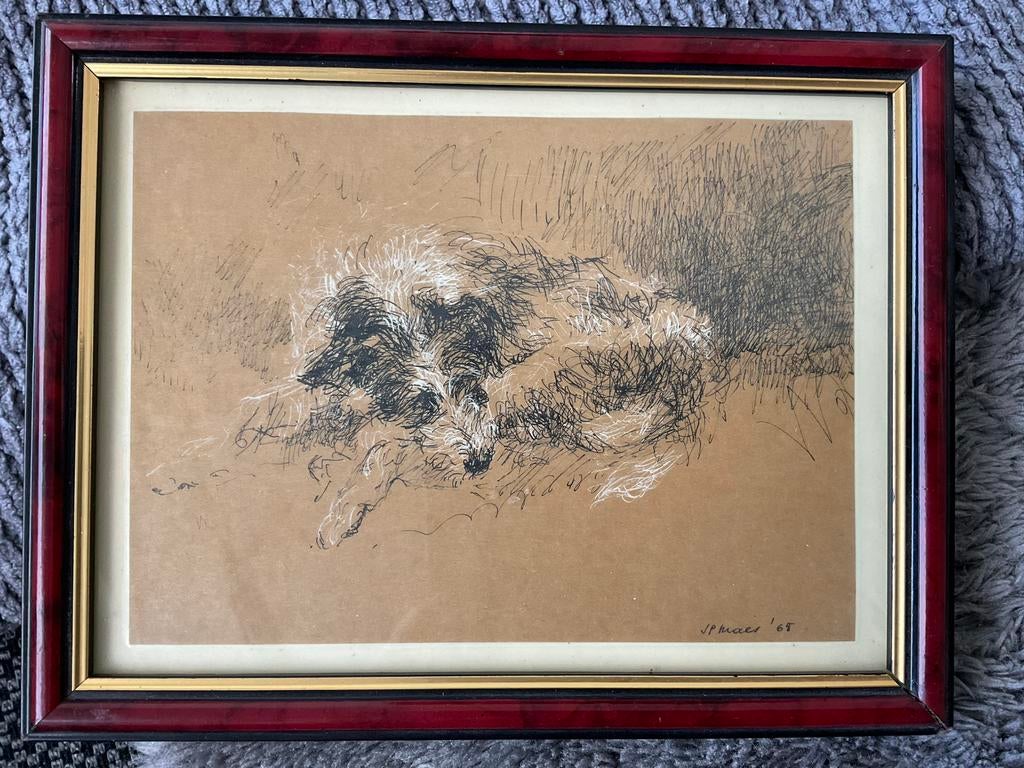 Tekening van slapende hond door Jean-Pierre Maes 1965, Antiquités & Art, Art | Peinture | Classique, Enlèvement