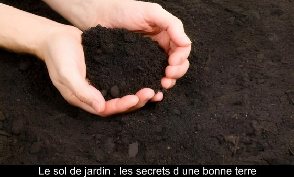 Très bonne terre arable fraisée de qualité et terreau au m³