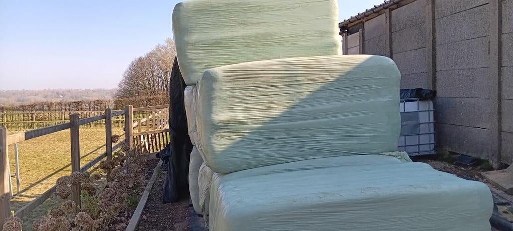 Voordroog paarden mooie kwaliteit, Dieren en Toebehoren, Ophalen