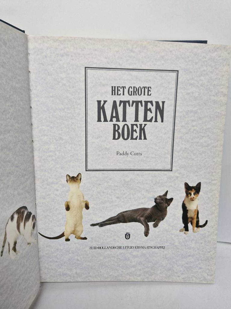 🐈 Le livre des grands chats 🐈‍⬛, Enlèvement ou Envoi, Chats, Comme neuf, P. Cutts