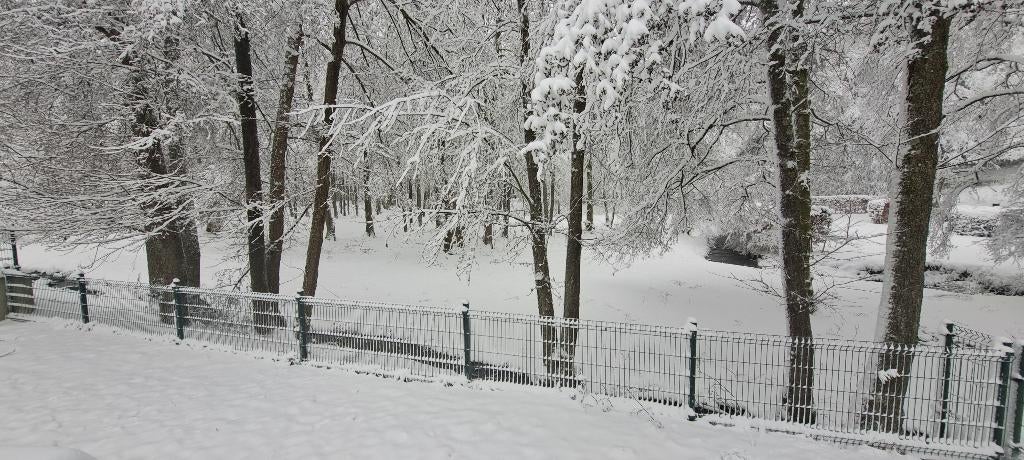 Stacravan, Caravans en Kamperen, Stacaravans, Tot en met 5